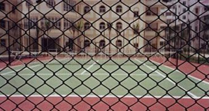 Chain Link Fence